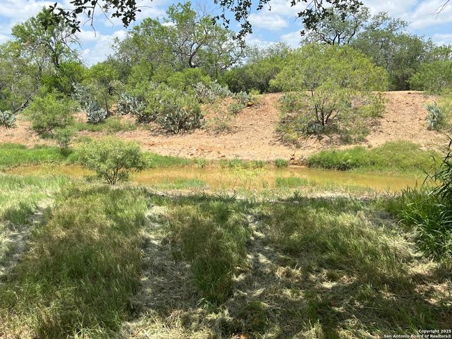 946 County Road 2863, Home with 0 bedrooms, 0 bathrooms and null parking in Bigfoot TX | Image 8