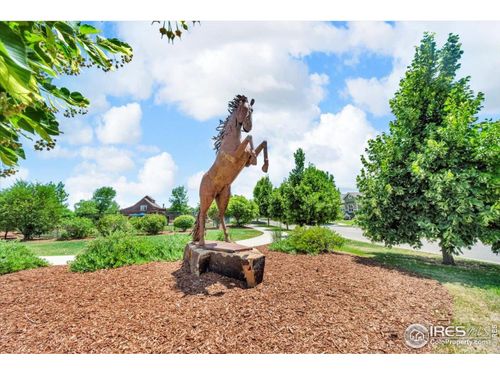 1968 Blue Yonder Way, Fort Collins, CO, 80525-1974 | Card Image