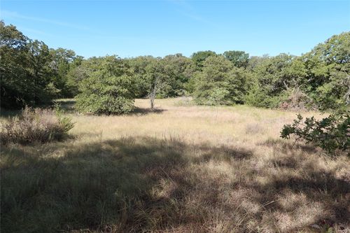 TBD Pecan Rd, Bowie, TX, 76230 | Card Image