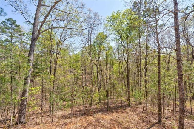 1455 Hap Holt Rd, House other with 3 bedrooms, 2 bathrooms and null parking in ELLIJAY GA | Image 21