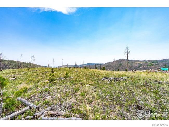 2384 Rist Creek Rd, Home with 0 bedrooms, 0 bathrooms and null parking in Bellvue CO | Image 27