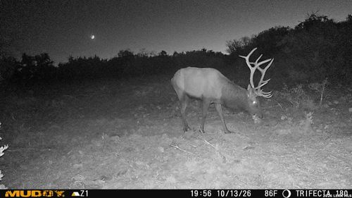 76 Alamo Ranches, Rocksprings, TX, 78880 | Card Image