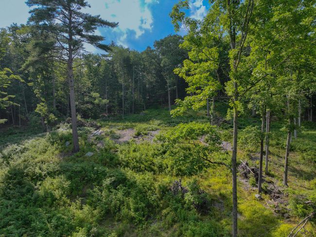 0 Rose Hill Rd, Home with 0 bedrooms, 0 bathrooms and null parking in Woodstock VT | Image 12