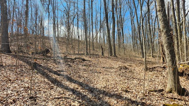 TRACT-2-PIKE-LAKE-GETAWA - 0 Pike Lake Rd, Home with 0 bedrooms, 0 bathrooms and null parking in Bainbridge OH | Image 25