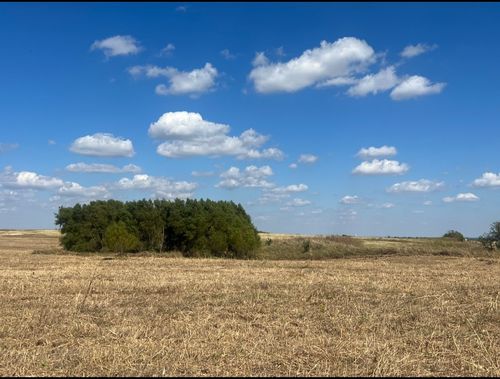 6148 County Road 302, Grandview, TX, 76050-4569 | Card Image