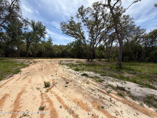 0 Wheystone Dr, WEBSTER, FL, 33597 | Card Image