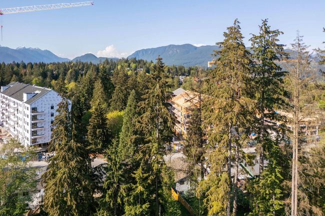 1160 Tuxedo Dr, Home with 0 bedrooms, 0 bathrooms and null parking in Port Moody BC | Image 9
