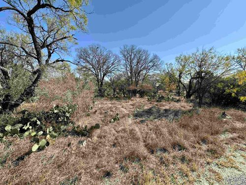 Lot 231 Cactus Trail, Kingsland, TX, 78639 | Card Image