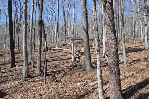 00 Shadow Creek Ln, Columbus, NC, 28722 | Card Image