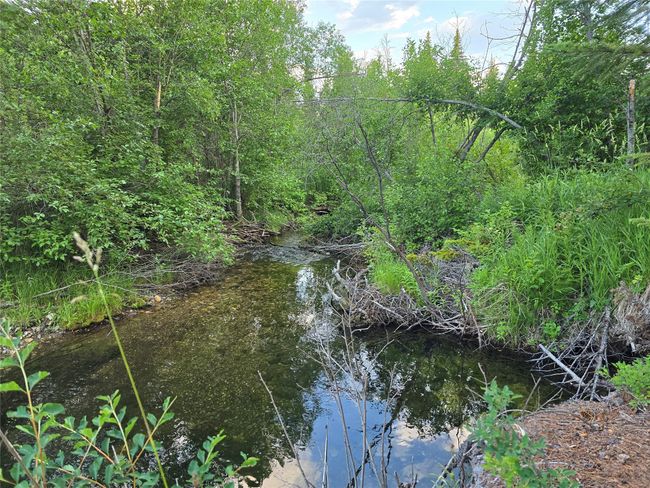 30467 S Fork Yaak Rd, House other with 2 bedrooms, 1 bathrooms and null parking in Troy MT | Image 53