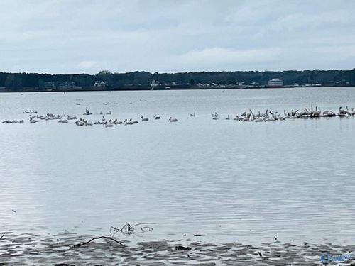 13-177 County Road 1043, Centre, AL, 35960-6061 | Card Image