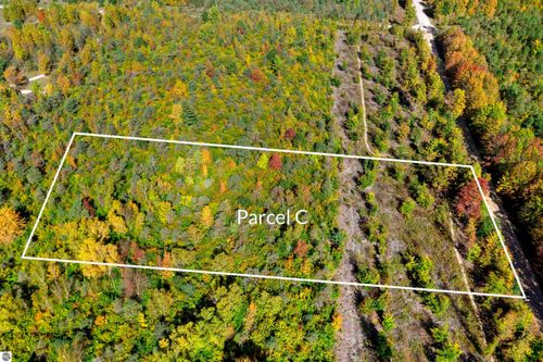 Parcel C S Weldon Road, Beulah, MI, 49617 | Card Image