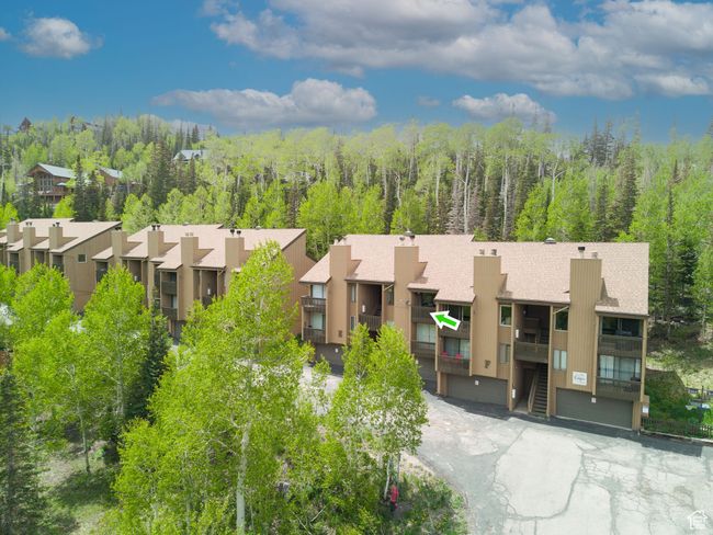 Aerial view of residential area with a heavily wooded area | Image 24