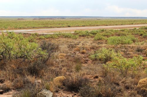 Lots 25-26 Nickel Lane, Conchas Dam, NM, 88416 | Card Image