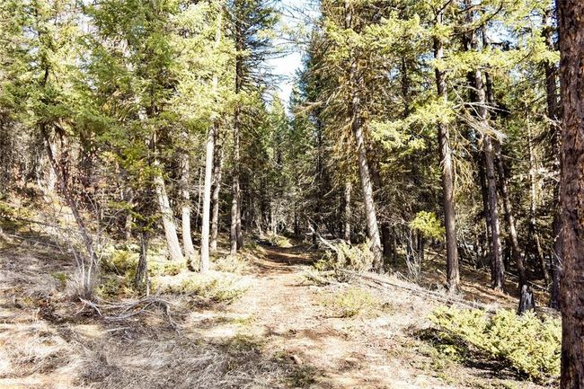 270 Tomahawk Trl, Home with 0 bedrooms, 0 bathrooms and null parking in Fortine MT | Image 11