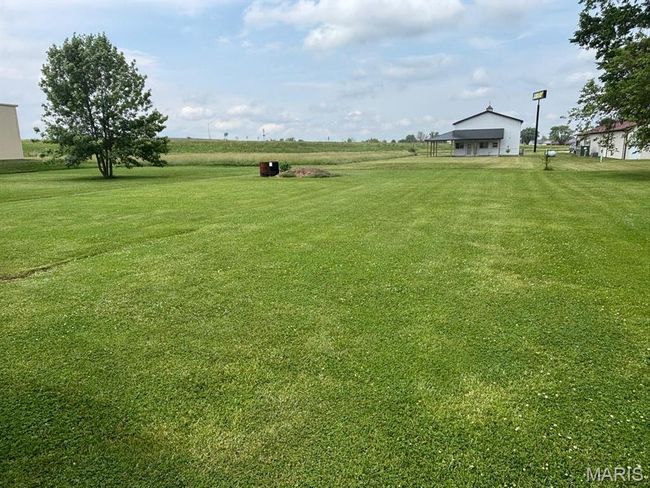 View of grassy yard | Image 11