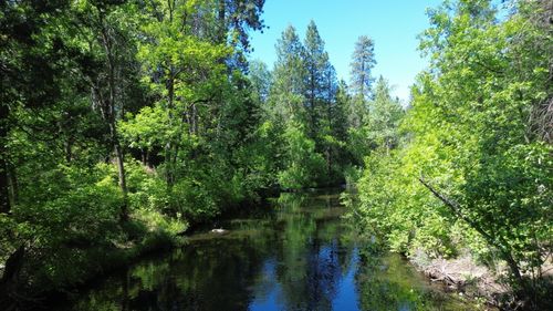 000 Park Ave, Burney, CA, 96013 | Card Image