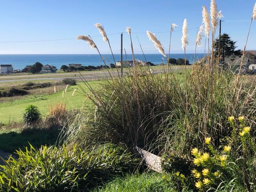 142 Ocean View Rd, Whitethorn, CA, 95589-9136 | Card Image