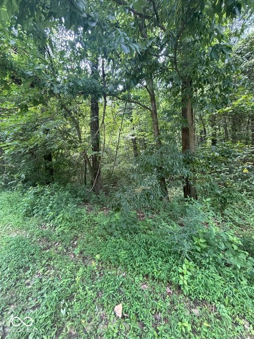 00 N Canyon Lake Ln, Worthington, IN, 47471 | Card Image