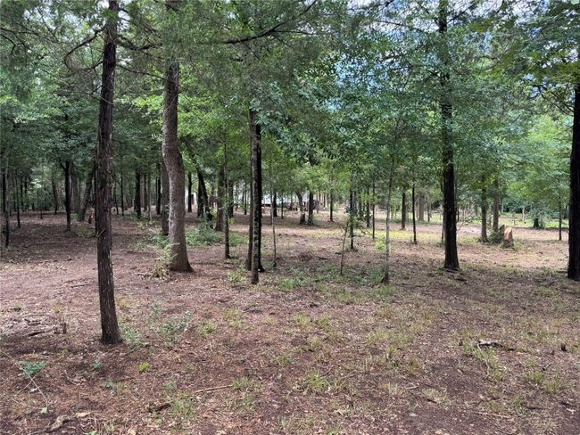 View of nature | Image 14