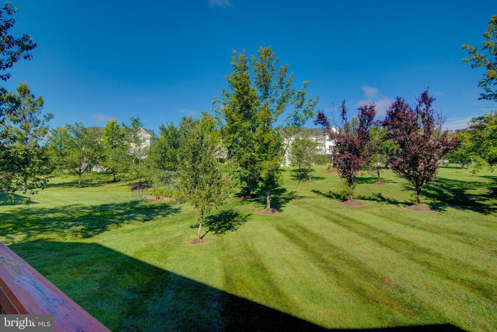 Residential Lease in ALDIE 4