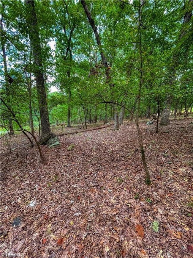 0 Rocky Cove Ln, Home with 0 bedrooms, 0 bathrooms and null parking in Denton NC | Image 10