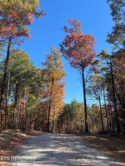 107 Cherokee Path, Home with 0 bedrooms, 0 bathrooms and null parking in Tellico Plains TN | Image 1