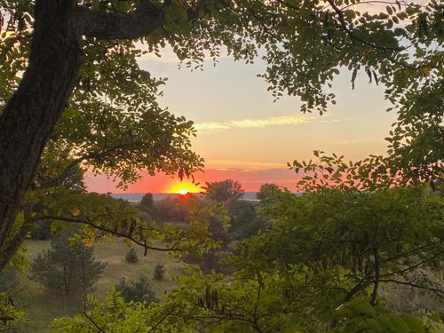 Parcel A Cemetery Road, Helena Township, MI, 49612 | Card Image