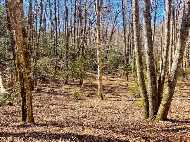 3088 Little Choga Rd, House other with 1 bedrooms, 1 bathrooms and null parking in Topton NC | Image 6