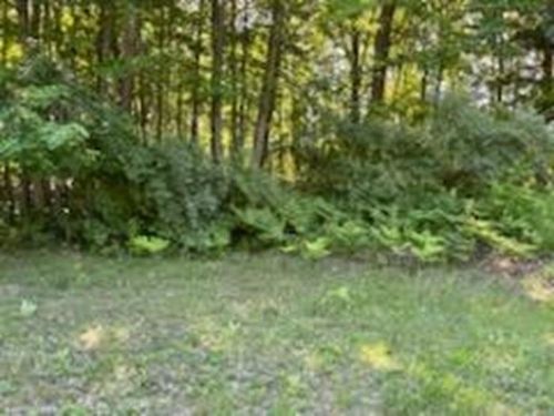 N/A Huron Woods Dr, Tawas City, MI, 48763 | Card Image