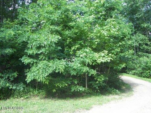 Lot 30 Butternut Ln, Sevierville, TN, 37876 | Card Image