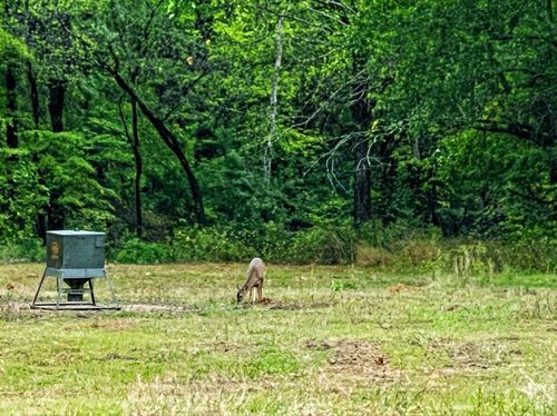 00 Elrod Ln, Muse, OK, 74949 | Card Image