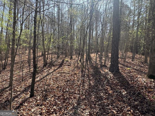 TRACT-1 - 0 Wisteria Ln, Home with 0 bedrooms, 0 bathrooms and null parking in Mansfield GA | Image 5