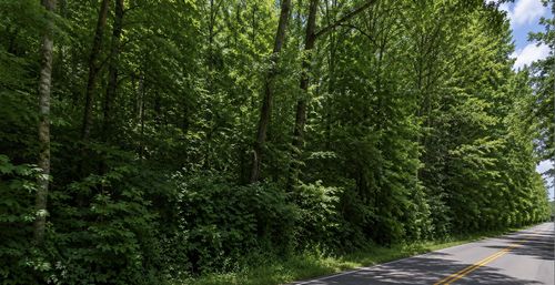 9999 Kentucky 6, Corbin, KY, 40701 | Card Image