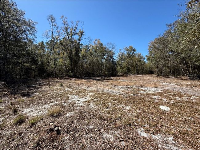 355 Ne 542 Nd St, Home with 0 bedrooms, 0 bathrooms and null parking in Old Town FL | Image 15
