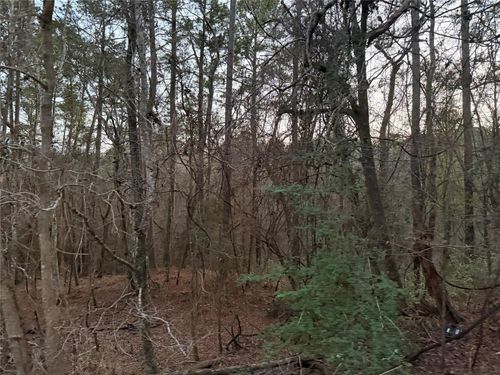 126 Green Tree Dr, Coldspring, TX, 77331-3290 | Card Image