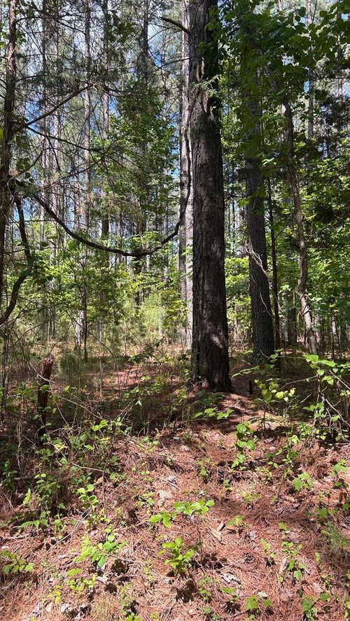 3 Foxfire Lane, Bedford, VA, 24523 | Card Image