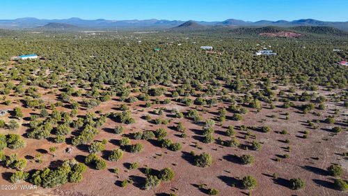 21-b-c-d-e-TBD Co Rd 3187, Vernon, AZ, 85940 | Card Image