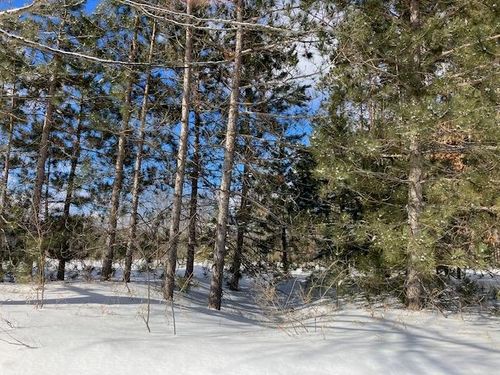 10424 H-2 Dell Road, Paradise Township, MI, 49649 | Card Image