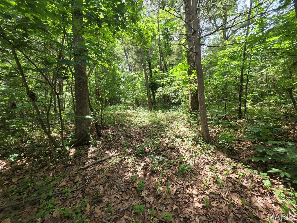 Land in Hillsboro 2