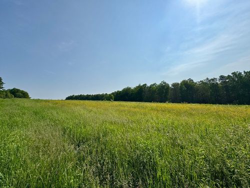 0 Hunt Rd, Charlemont, MA, 01339 | Card Image