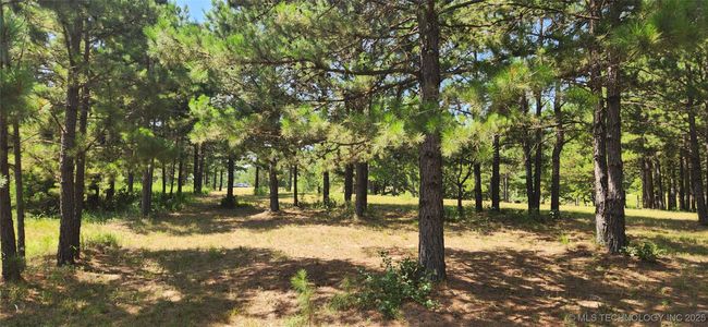 5253 S Research Rd, Home with 0 bedrooms, 0 bathrooms and null parking in Lane OK | Image 22