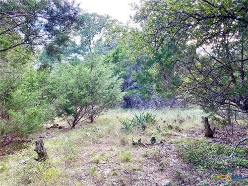 63 Cedar Trails Dr, Morgans Point Resort, TX, 76513-6507 | Card Image