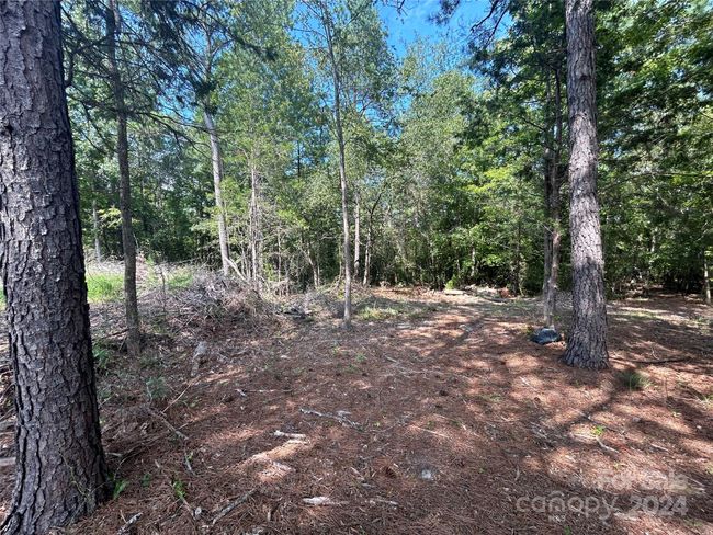 5630 Woodsferry Rd, Home with 0 bedrooms, 0 bathrooms and null parking in Carlisle SC | Image 9