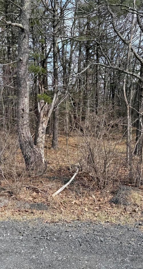 0 County Route 312, Clarksville, NY, 12041 | Card Image