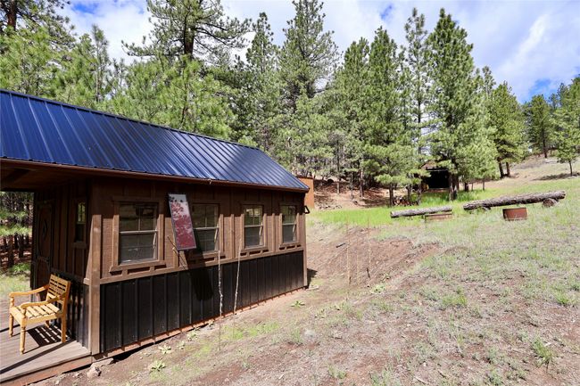 View of yard with an outdoor structure and view of scattered trees | Image 14