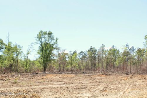3.67ac Cottonwood Drive, Lucedale, MS, 39452 | Card Image