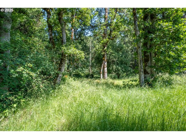 4901 Highway 20, Home with 0 bedrooms, 0 bathrooms and null parking in Sweet Home OR | Image 10