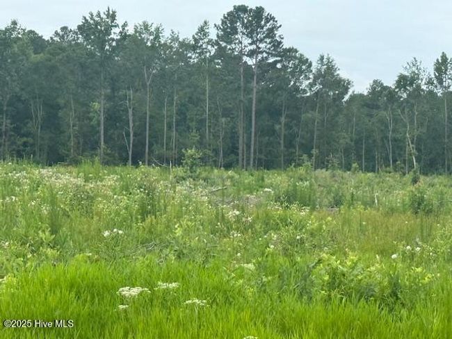 751 Stack Turner Rd, Home with 0 bedrooms, 0 bathrooms and null parking in Chadbourn NC | Image 7
