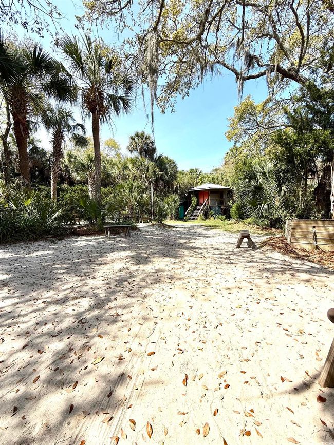 View of yard | Image 4